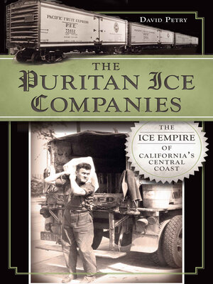 cover image of The Puritan Ice Companies